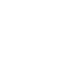 Top 100 2025-wh
